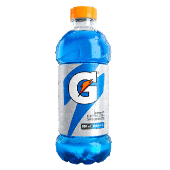 GATORADE BERRY BLUE 600ML PET NV